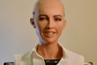حضور سوفیا ربات انسان نما در کنفرانس حسابرسان دبی